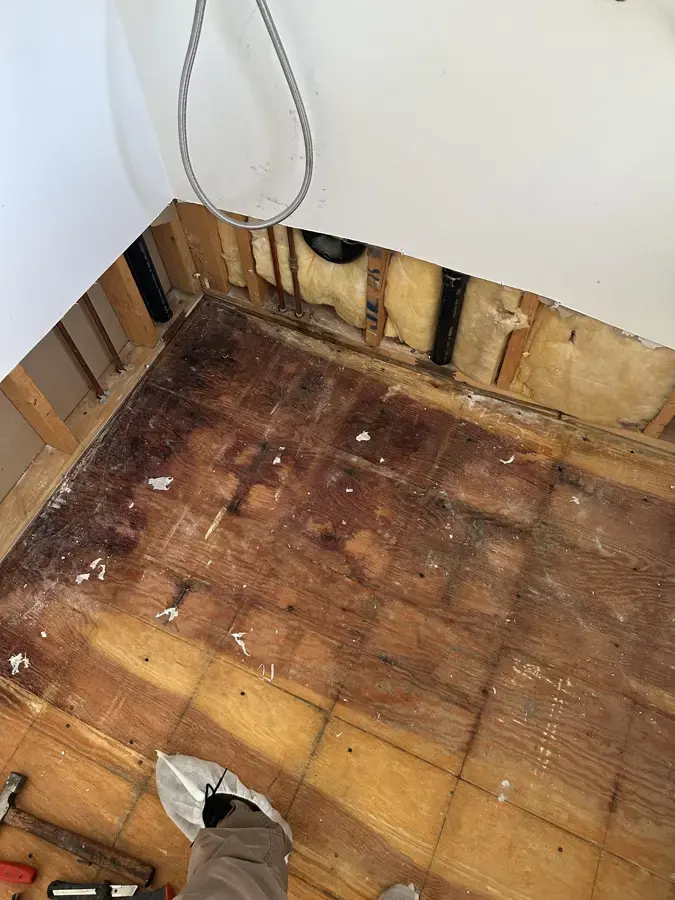 Wet subfloor exposed after the flooring and lower wall were removed