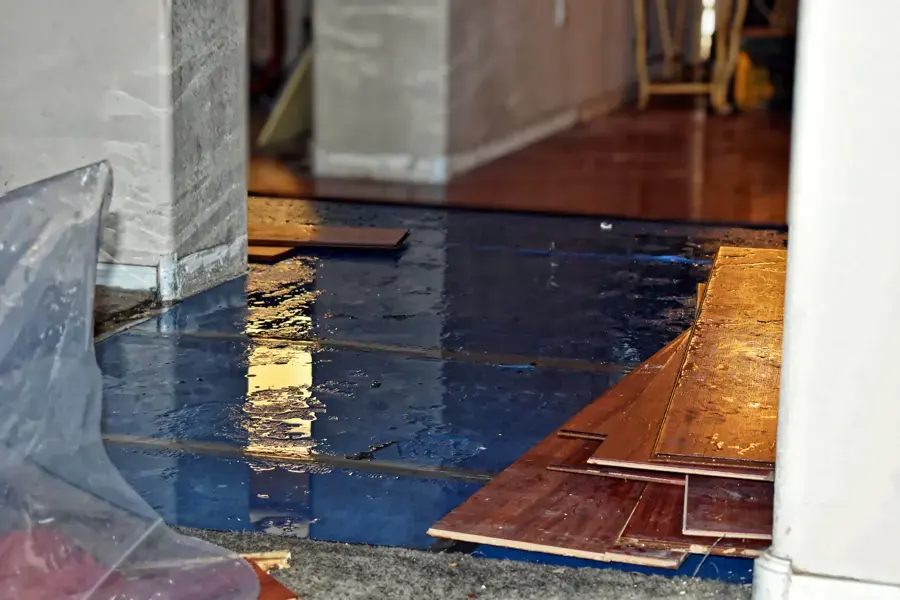 Hardwood flooring lifted off a wet subfloor to let it dry