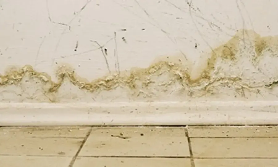 Water line stain along a wall and baseboard after flooding