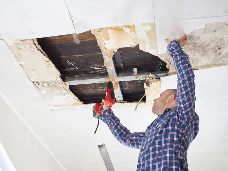 Wet ceiling drywall being cut away to reach the framing after a leak above